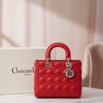 أيقونة الفخامة: حقيبة Lady Dior من  (Christian Dior)